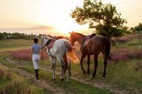 Frauen wandern Pferde 27470859 @YuliiaKa - Freepik.com_kl 